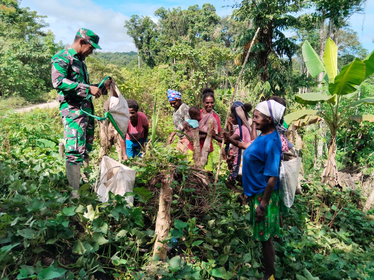 Babinsa Komsos Dengan Turun langsung menyambangi Warga di Kebun