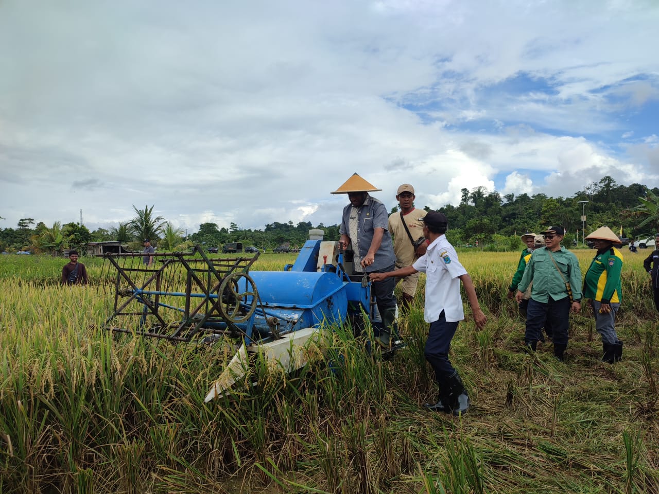 Pemda Teluk Bintuni Dorong Pemanfaatan Pangan Lokal Dalam Pelaksanaan MBG